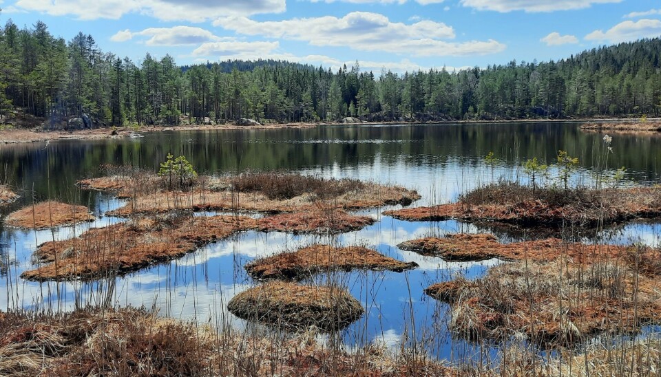 Triungsvann i Bærumsmarka