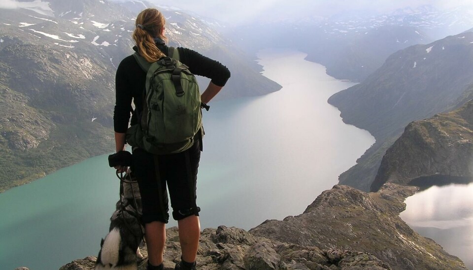 Turmulighetene i Sjodalen er godt over middels.