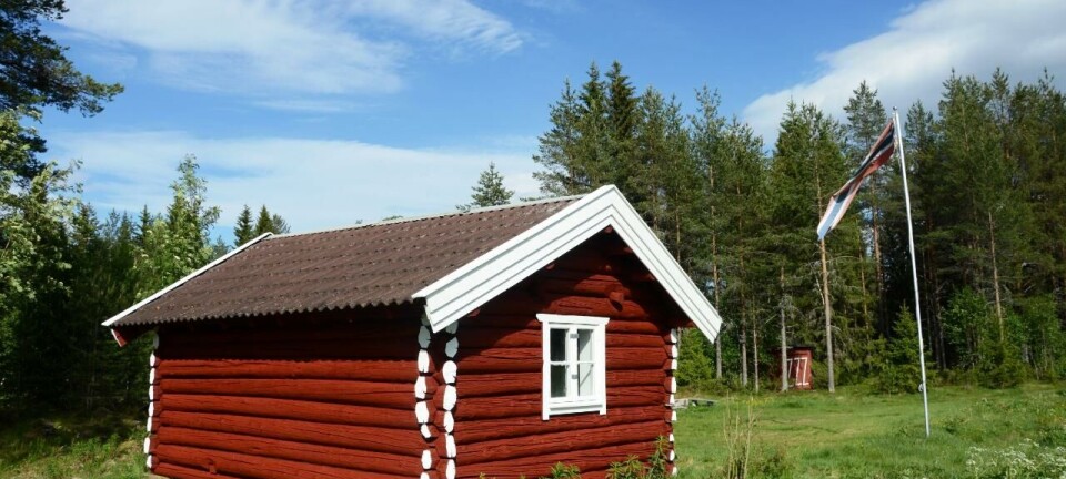 Hytter i Trysil