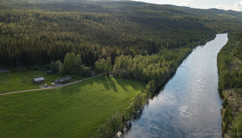 Grønvollen ved Renaelva