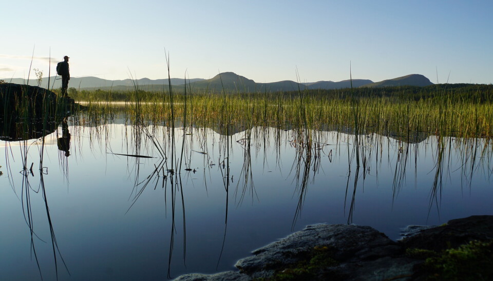 Litjsjøen i Lierne nasjonalpark.