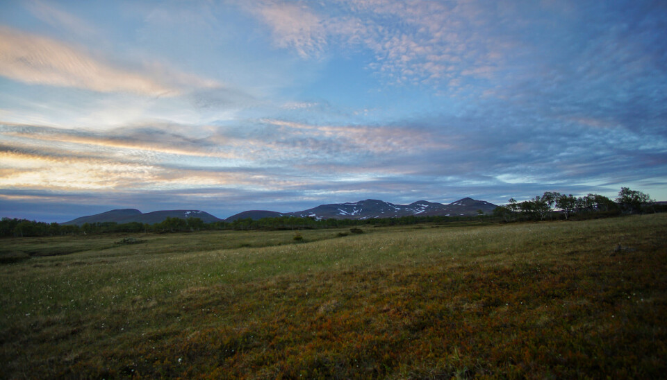 Hestkjølen i Lierne