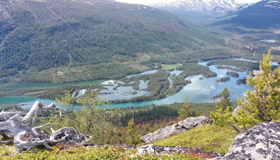 Utsikt over elvedelta i Skjåk.