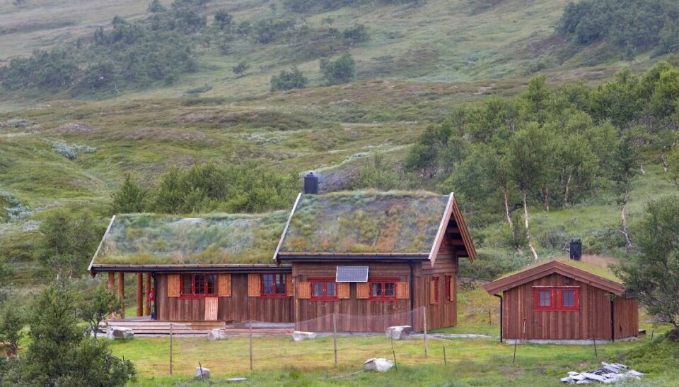 Hytte ved Finkoisjøen, Meråker. Utleiehytte fra Statskog.