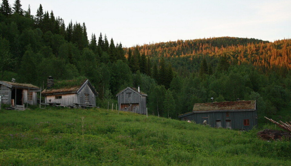 Holden fjellgård.