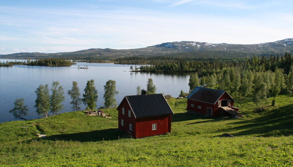 Helt inne ved svenskegrensa i Snåsafjellene ligger Holden Fjellgård.