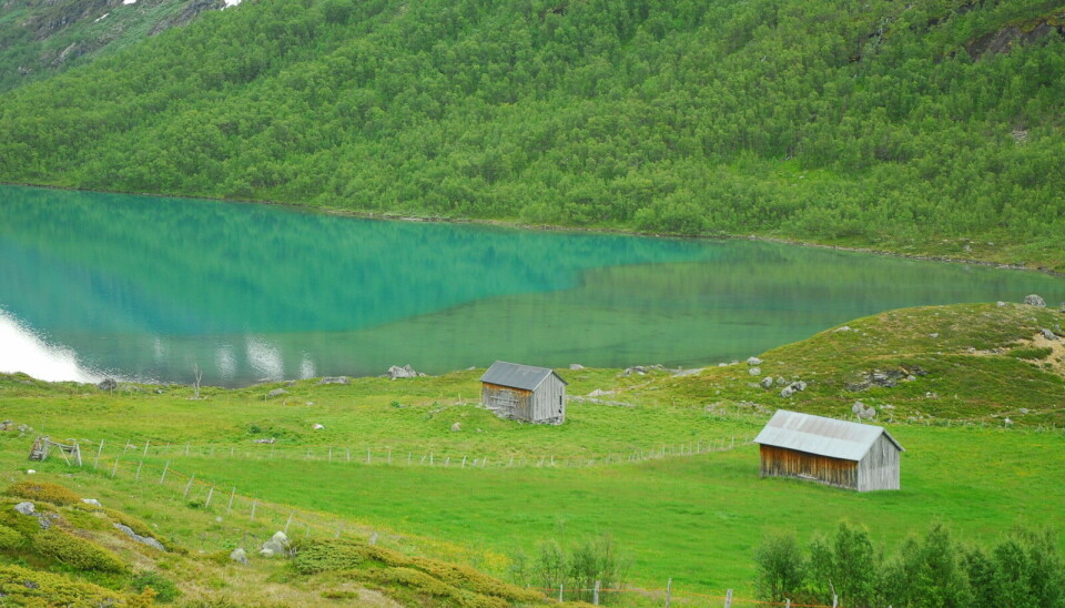 Høydalsvatnet i Lom.