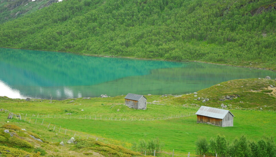 Høydalsvatnet i Lom. Høydalsvatnet i Lom.