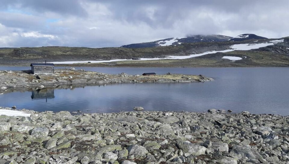 Skurveosbue i Lordalen statsallmenning. Bua ligger på snaue 1500 moh. Området er værhardt og isen kan ligge til langt inn i juli.