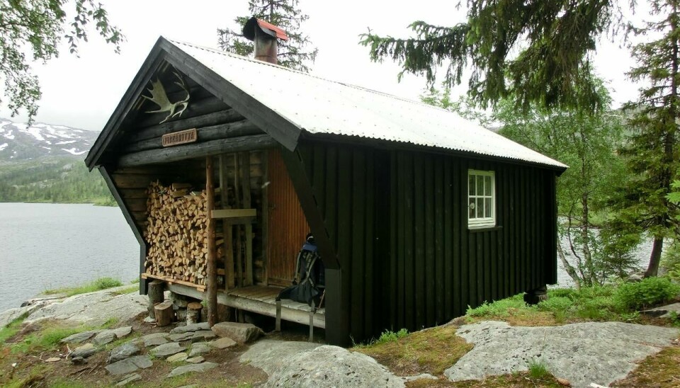 Røyskattlikoia i Høylandet.