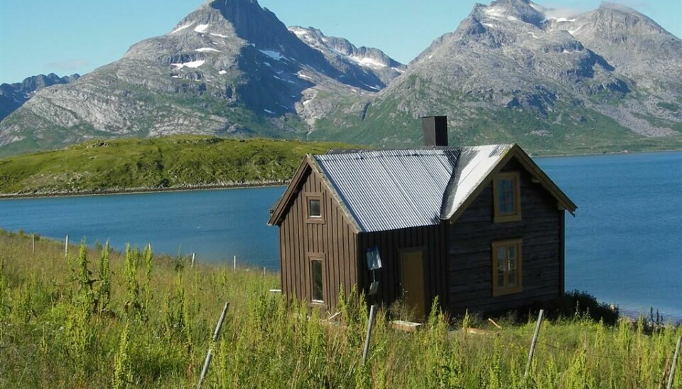 Hytte i fantastisk natur ved Molnes nær Tromsø