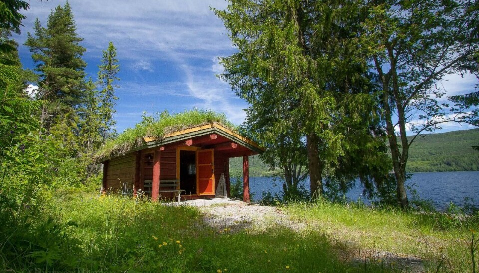 Søre Sana ved Storsjøen i Rendalen