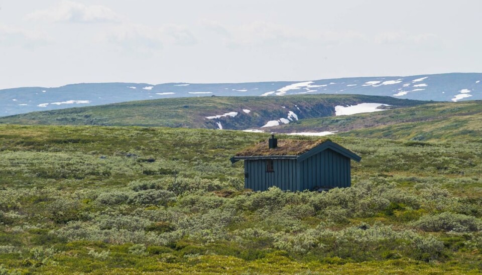 Fjellsjøbua i Forollhogna