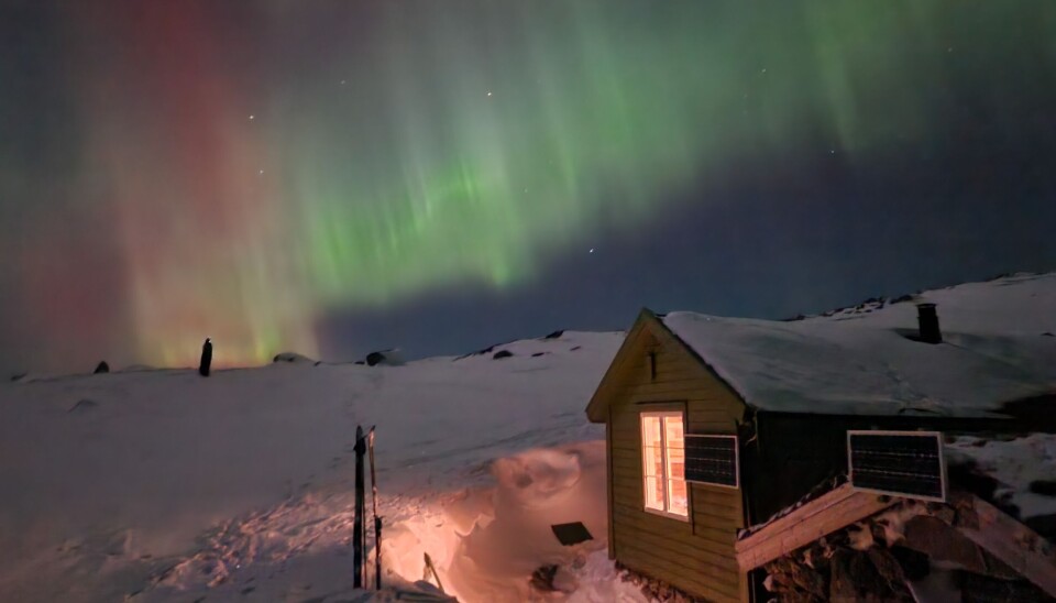 Her får du fred og ro, men vær obs på at du kan bli distrahert allikevel ... Vierslaet Hardangervidda Nordlys.