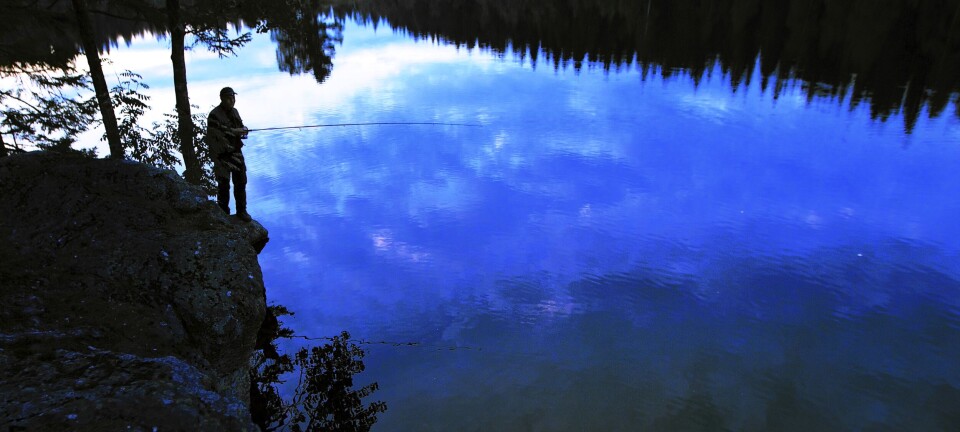 Ørretfiske vår og høst: prøv harving