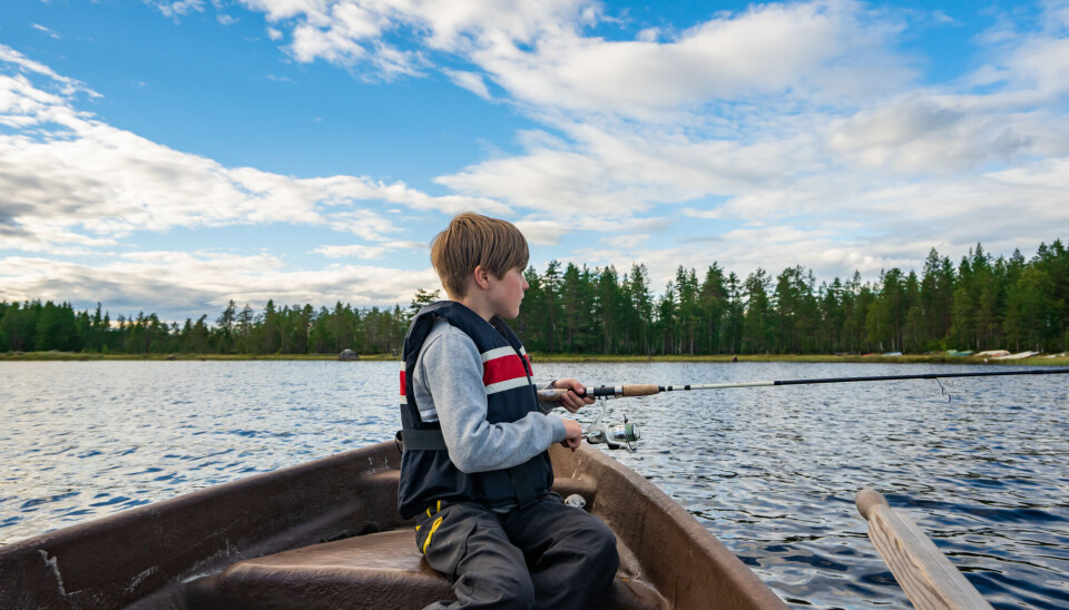 Fiskemulighetene spenner bredt. Du har alt fra eksplosivt gjeddefiske fra båt til mark- og fluefiske i små elver.