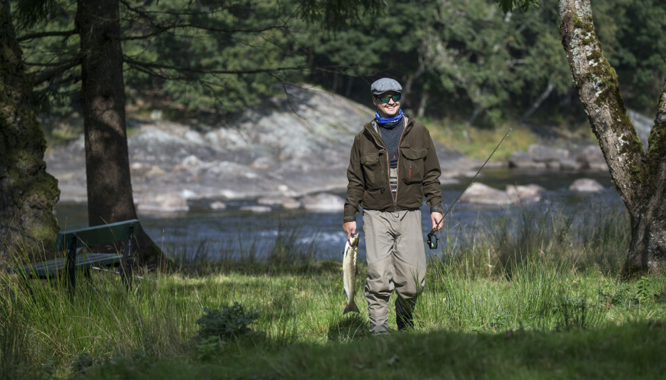 Laksefiske med fangst av smålaks i Tovdalselva ved Boen gård.