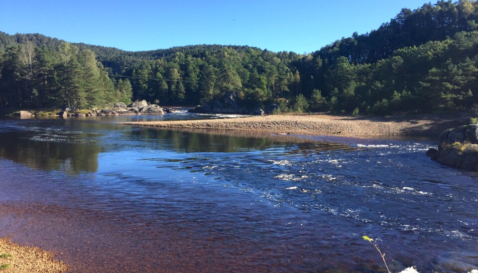 Øyslebøfossen i sone 3 i Mandalselva.