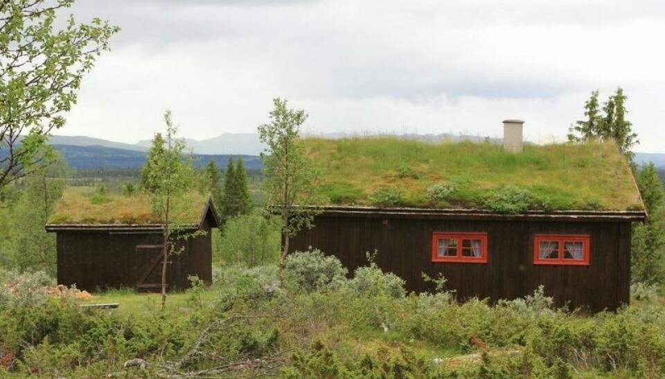 Reinsåshytta er en annen av de mange hyttene du kan leie av Gausdal Fjellstyre. Du kan få godt med fisk i elva Hynna, 500 meter unna.