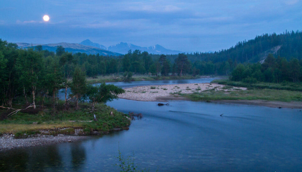 Fullmåne over elvestrekk i Grimsa fluesone.