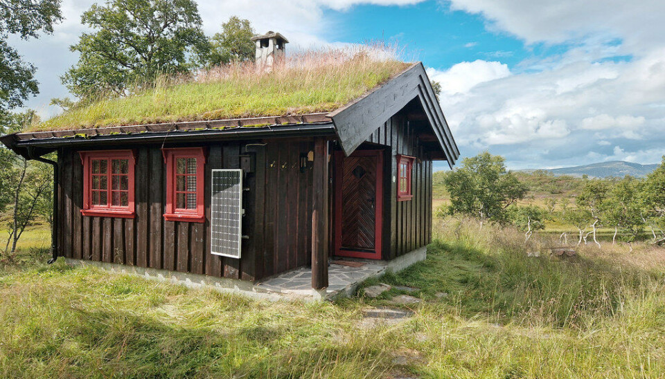 Trivelig hytte i villmarka i Meråker, med ørretvannet Gåsvatn like ved.