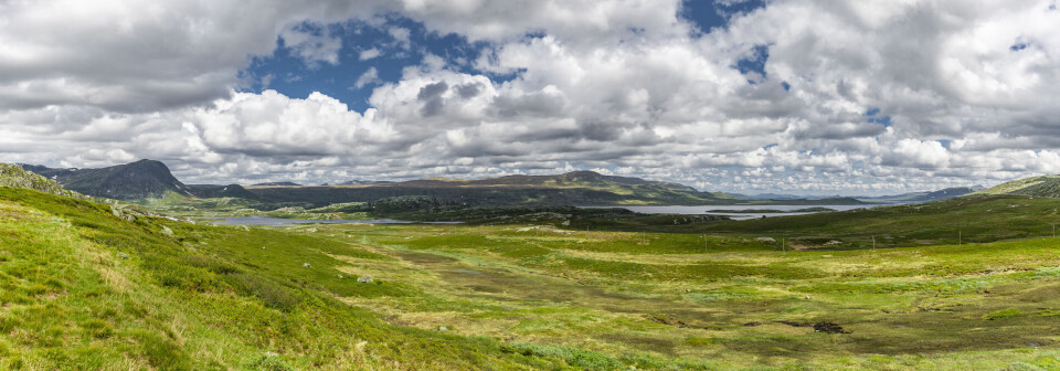 Snart har fjellet kledd seg i grønt igjen. Her fra Valdres nær Bygdin.