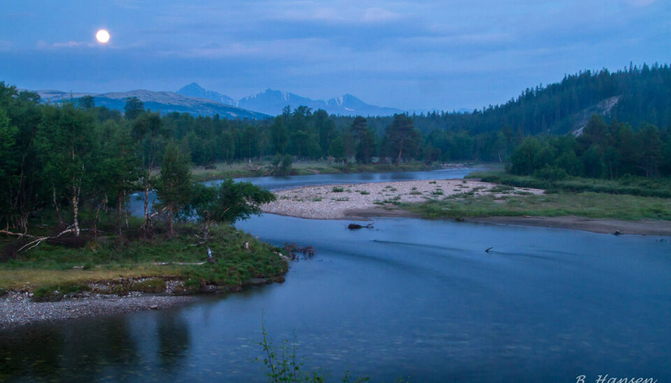 Grimsa har noen av de vakreste omgivelsene av alle elvene vi vet om.