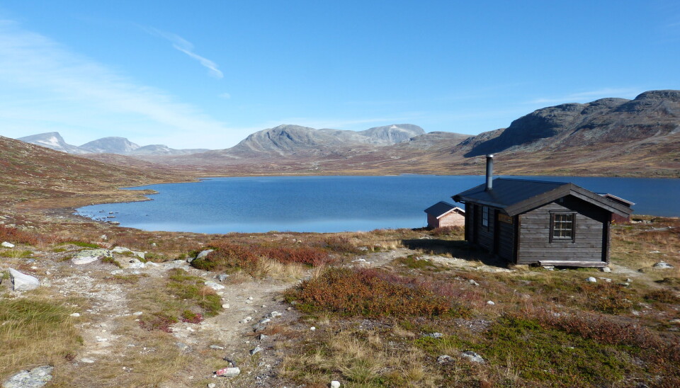 Her kan du nyte fjellet i ro og mak.