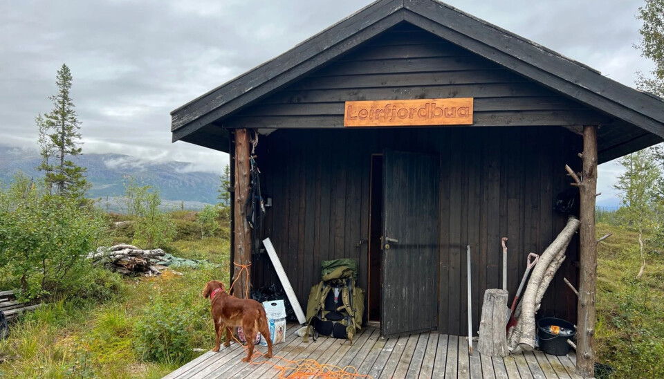 Leirfjordbua ligger i et område med enorme muligheter for å utforske naturen og alt den har å by på.