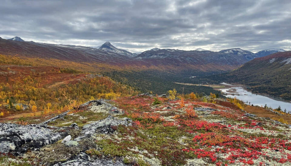 Utsikten over Liavatnet om høsten er noe for seg selv. Tverrådalskyrkja (2089 moh.) rett fram.