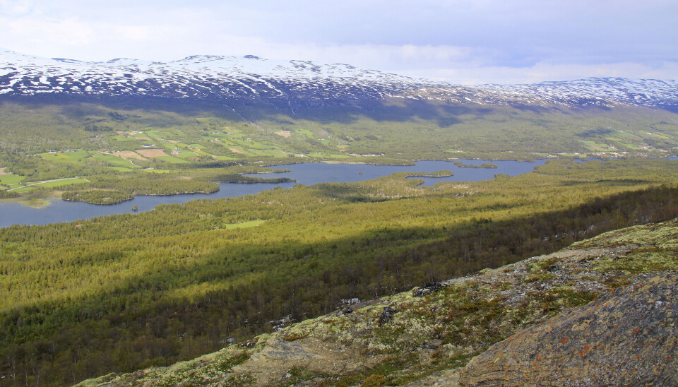 Utsikt over Lesjaskogsvannet.