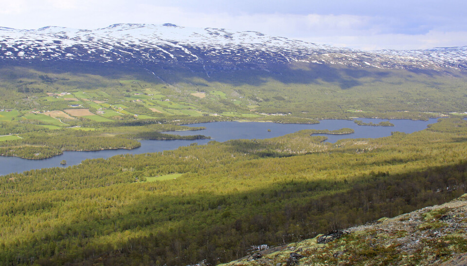 Utsikt over Lesjaskogsvannet.