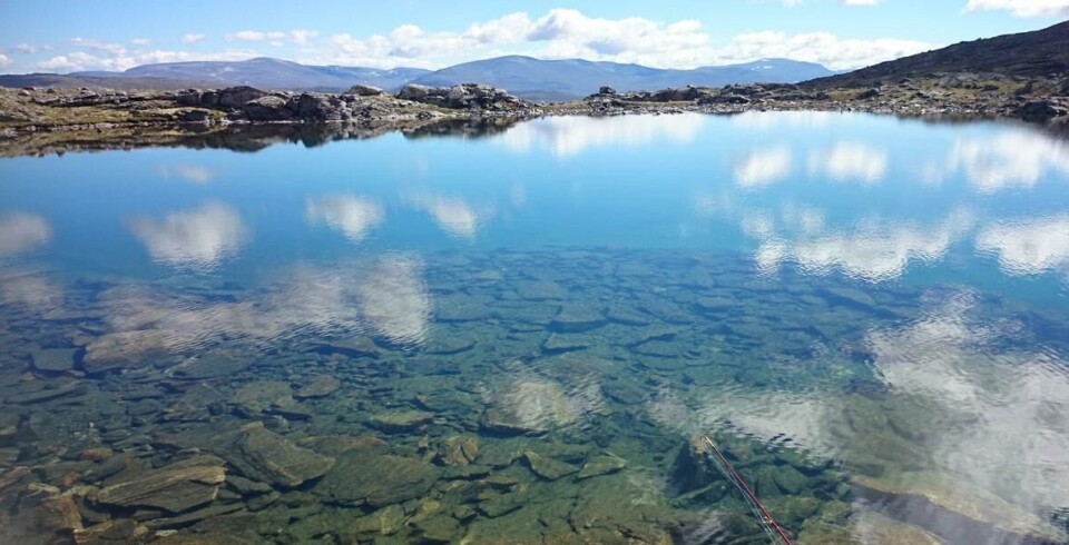 Krystallklare fjellvann og bekker venter.