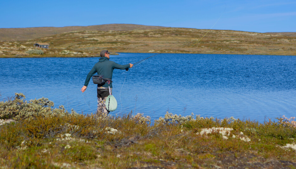 Inatur har lang erfaring med å tilrettelegge og skreddersy fiskeopplevelser med utgangspunkt i tilbudet ditt på fiske.