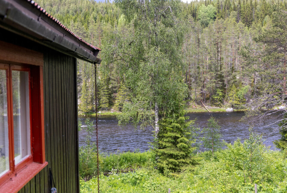Vaker det? Du behøver ikke å gå langt for å se om det er aktivitet på elva.