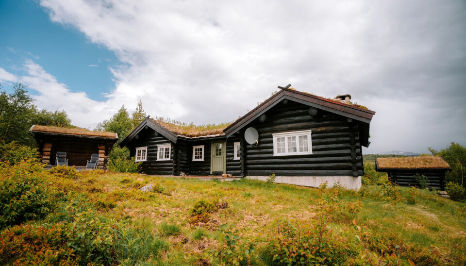 Stor og velutstyrt hytte med alle fasiliteter i et nydelig fjellterreng sør for Møsvatn.