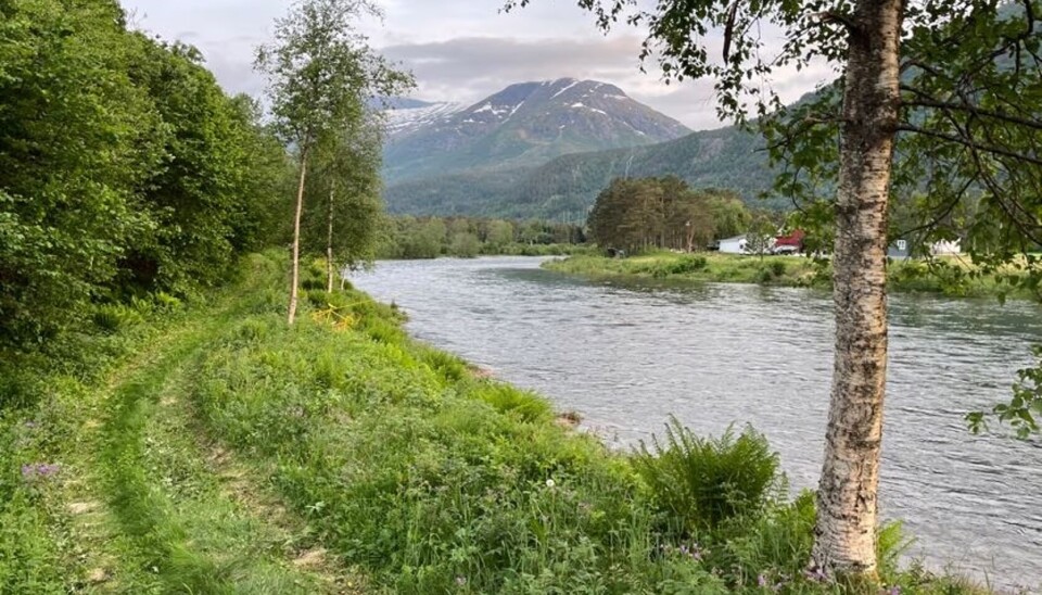 Eira er en vakker elv som renner fra Eikesdalsvannet til fjorden nedenfor.