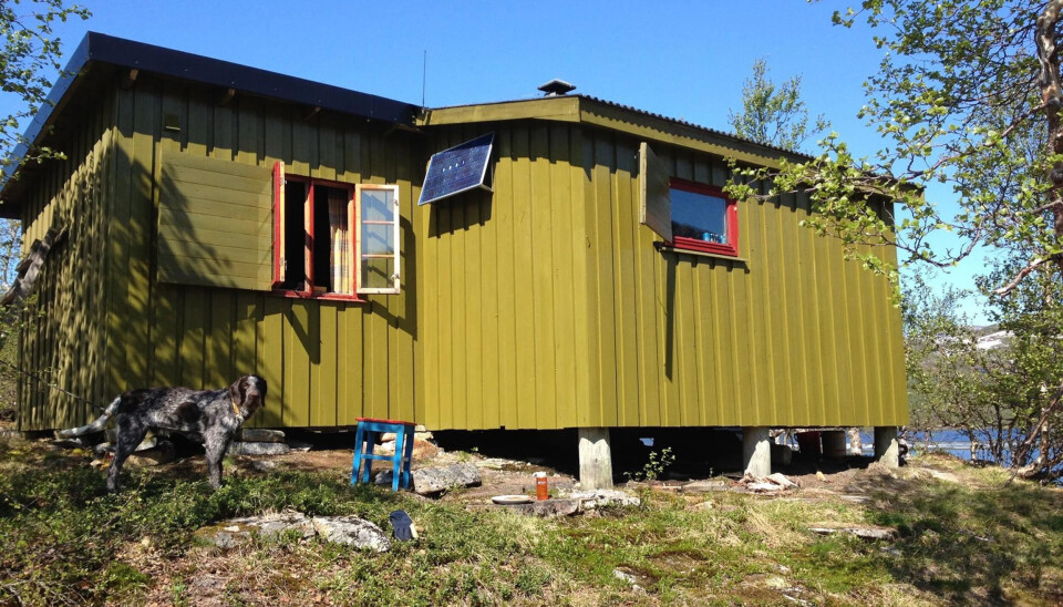 Den lille jakt- og fiskehytta ligger i et område med ørret som eneste fiskeslag. Prøv småvann i nærheten.
