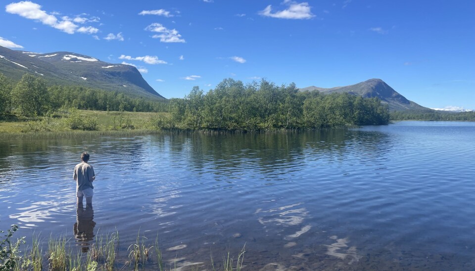 Sommerdag med fluestang i Matkista Sommerdag med fluestang i Matkista