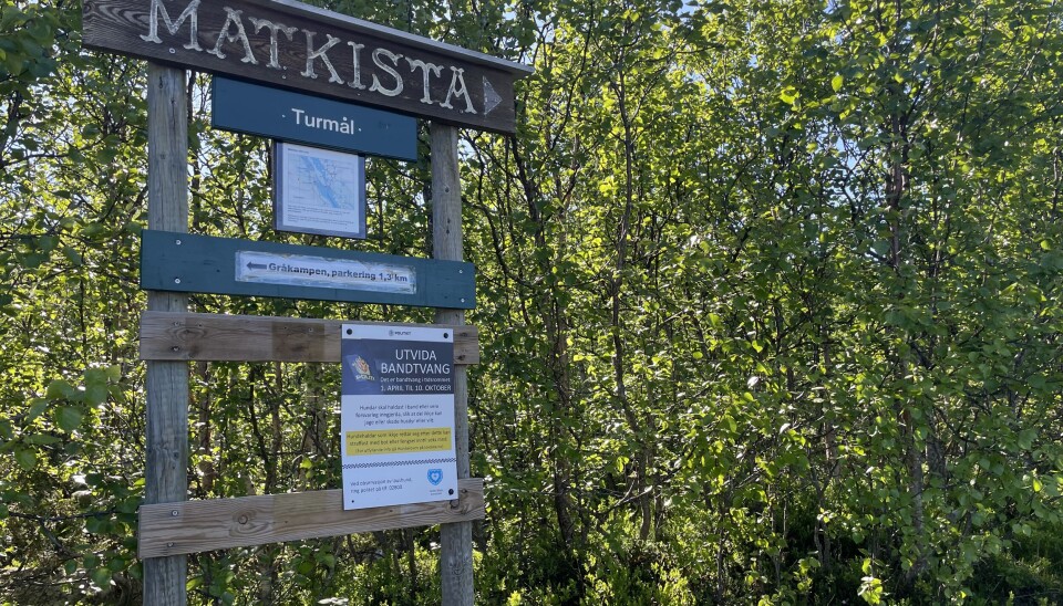 En liten vandretur gjennom fjellbjørkeskog og du er ved Matkista