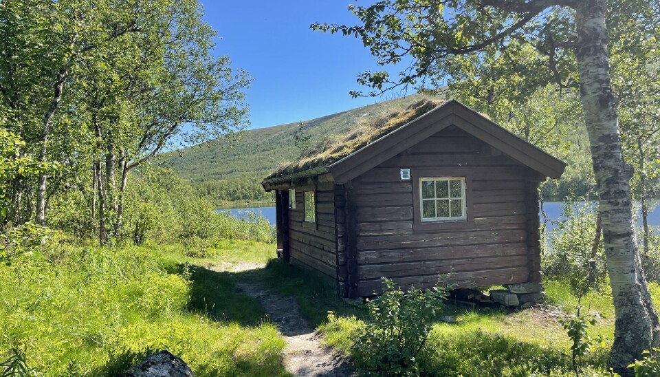Fjellstyrets åpne hvilebu