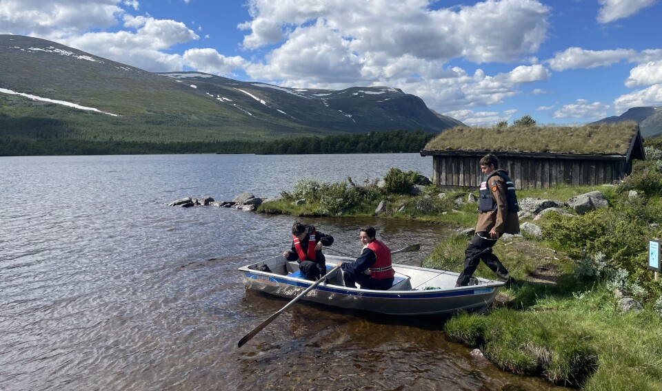 5 beste områder for isfiske i Norge: Tips og triks for å fange ørret og ...