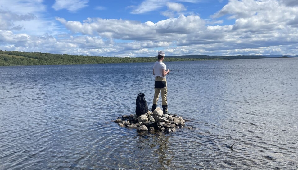 To minutter etter at bildet ble tatt, gikk ørreten på akkurat her.