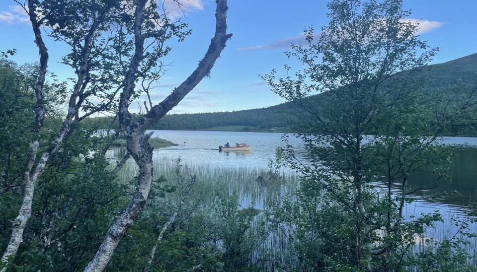 I Storfjorden kan det lønne seg med båt.
