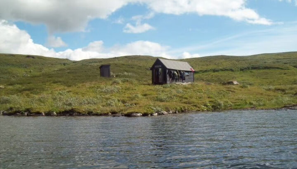 Nyt fjellet på et naust.