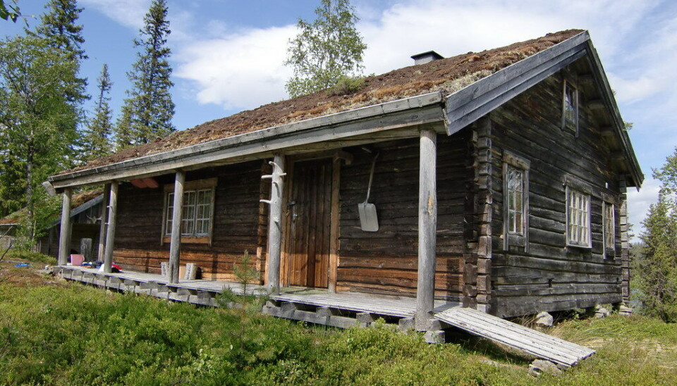 Seisjø skogstue ligger på sørsiden av Seisjøen, i Blåfjella Skjækerfjella nasjonalpark. Seisjø skogstue.