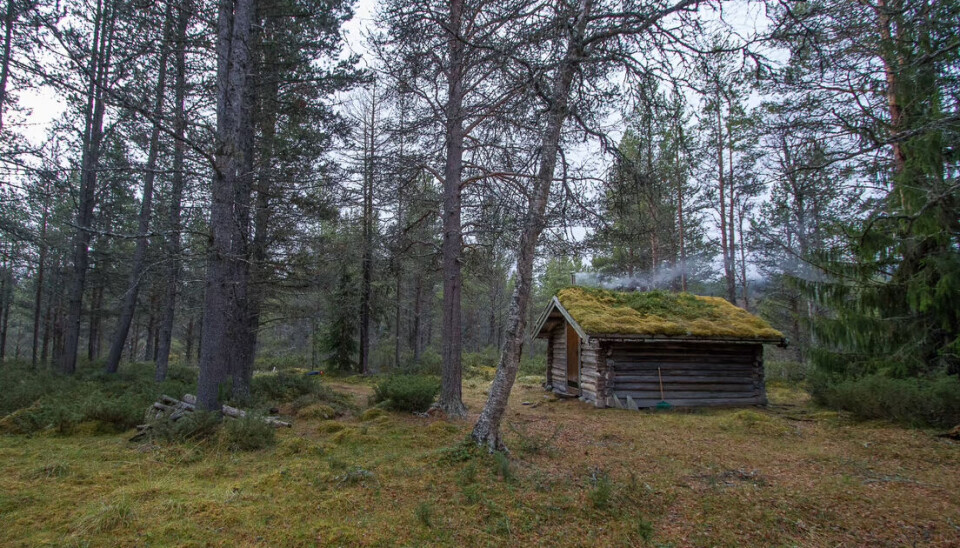 Kommunebua i Gammeldalen på Tynset har en helt spesiell stemning.