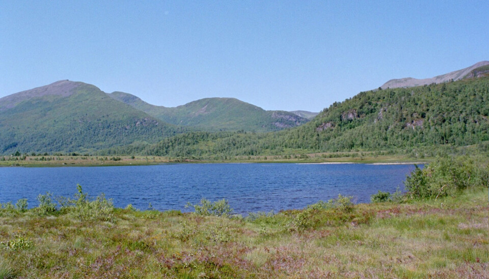 Fiskevannet Gunilla på Skaret.