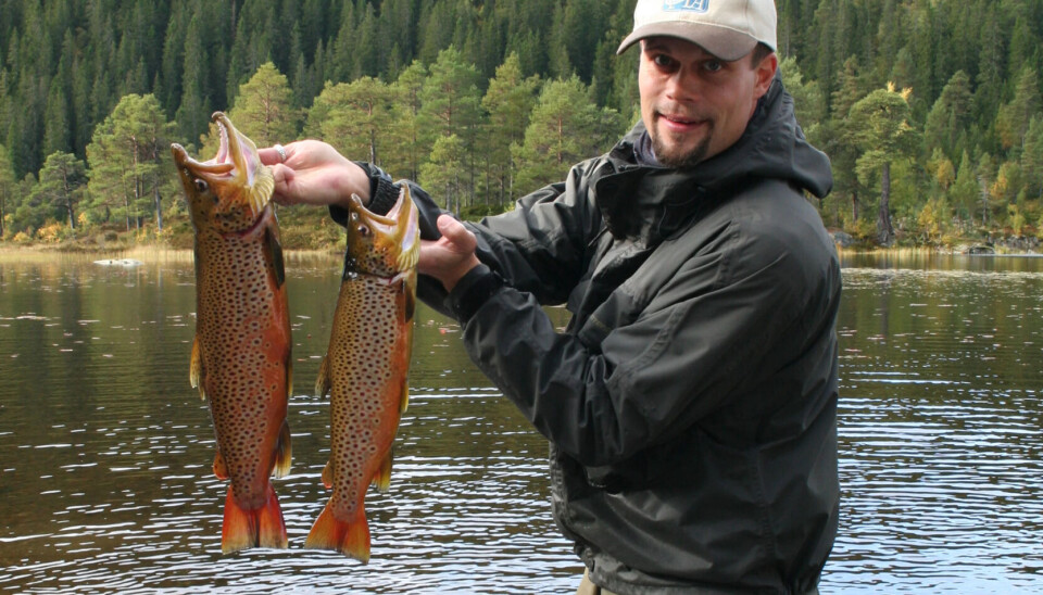 Kay Arne Olsen i Trondheim Omland Fiskeadministrasjon med flott ørretfangst fra TOFA-området.