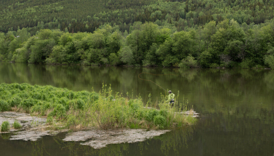 Fint elvestrekk på Sel.